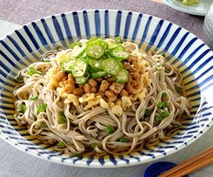 Amazon.co.jp: 信州そば ほしの おびなた 乾麺セットF 星野物産