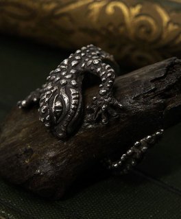 [Sons of TC /   ƥ] Rg-20 Leopard gecko Ring ȥ С