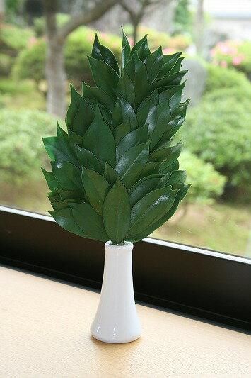 プリザーブド榊 1本 - 神棚神具の専門店 神棚の里【公式】