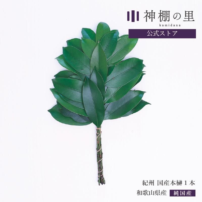 生榊/榊造花 - 神棚神具の専門店 神棚の里【公式】 生榊/榊造花 - 神棚神具の専門店 神棚の里【公式】