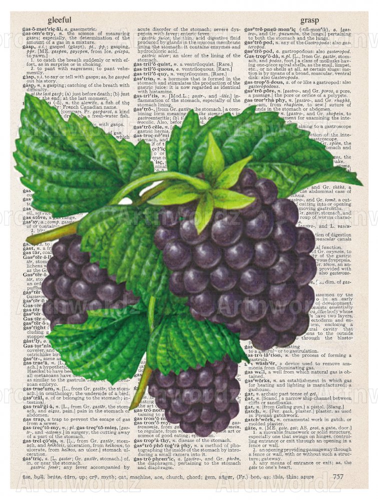 Blackberries