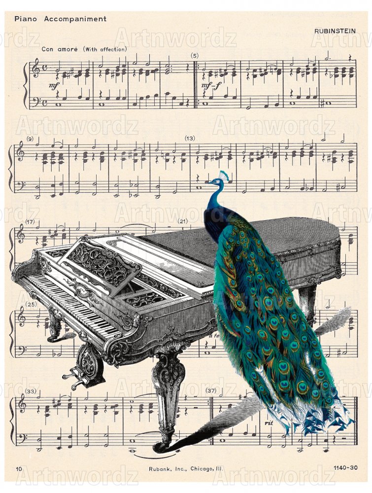 Peacock Piano Music