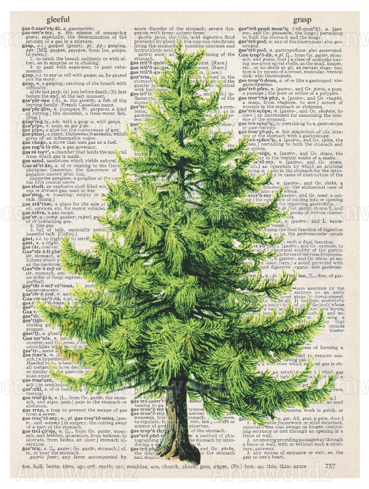 Pine Tree