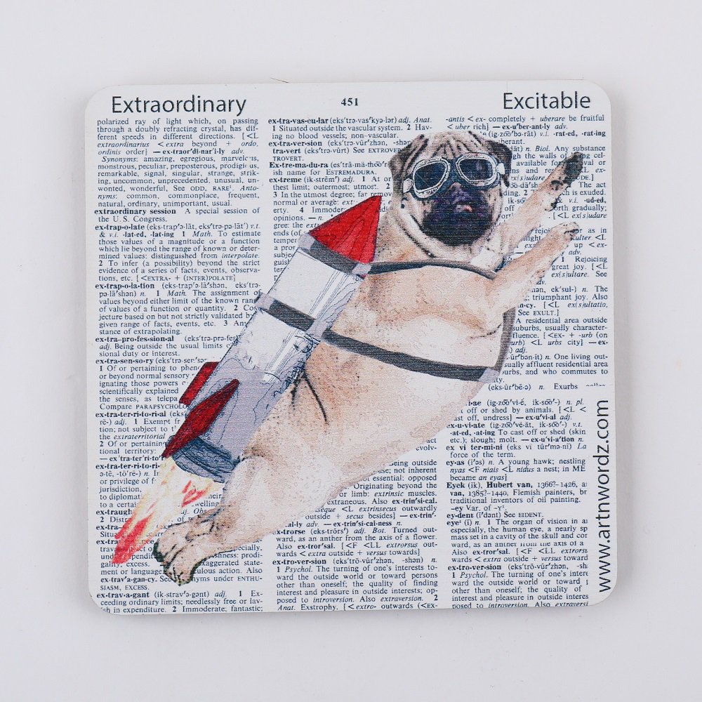 <img class='new_mark_img1' src='https://img.shop-pro.jp/img/new/icons1.gif' style='border:none;display:inline;margin:0px;padding:0px;width:auto;' />(Pug rocket)