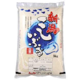 新潟県認証特別栽培米　越の金翔米　こしいぶき　白米５ｋｇ