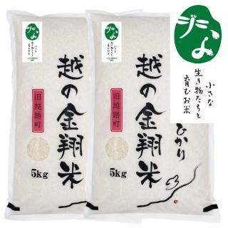 Ĺԥꥸʥǧڥ֥̺ơGGAPǧƎ  㸩̺ ۤζ Ҥꡡ10kg