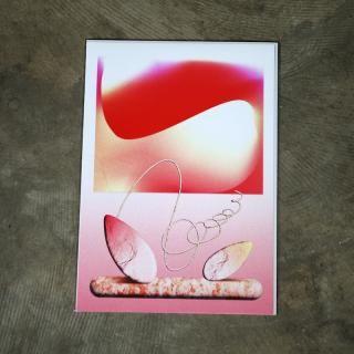 <img class='new_mark_img1' src='https://img.shop-pro.jp/img/new/icons8.gif' style='border:none;display:inline;margin:0px;padding:0px;width:auto;' />uesatsuImaginary Flowers A3 Poster