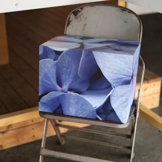 <img class='new_mark_img1' src='https://img.shop-pro.jp/img/new/icons8.gif' style='border:none;display:inline;margin:0px;padding:0px;width:auto;' />uesatsuFresh Freedom in Captivity "hydrangea"

