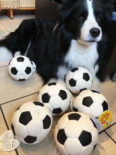 柔らかジャンボ サッカーボール Coursek Com