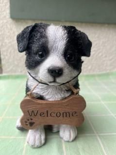 ܡ꡼ɥåʥȡwelcomeܡ