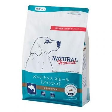 ƥʥ󥹥⡼롦եå塡11.16