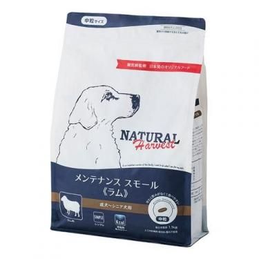 ƥʥ󥹥⡼ []     11.16