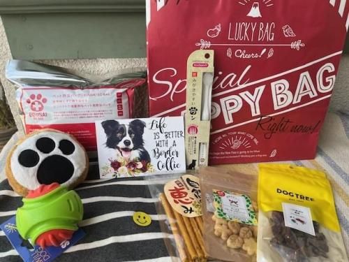 2026ʡ�ޡ�ͽ���������ʿ��̸����