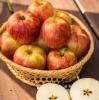 Ĥ롡Tsugaru Apples9ܡ