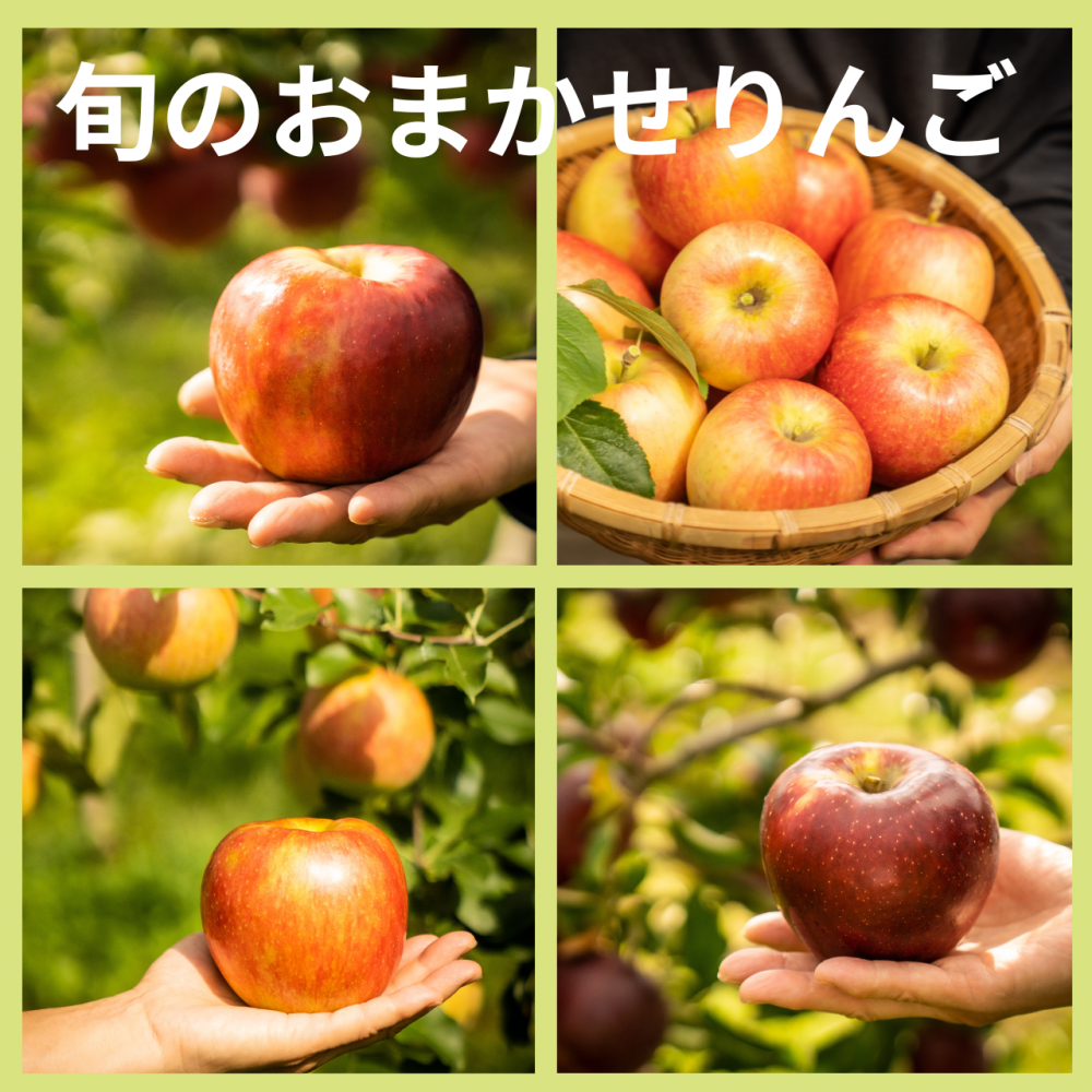 <img class='new_mark_img1' src='https://img.shop-pro.jp/img/new/icons15.gif' style='border:none;display:inline;margin:0px;padding:0px;width:auto;' />ܤΤޤ󤴡3,000ߡ5,500ߡ