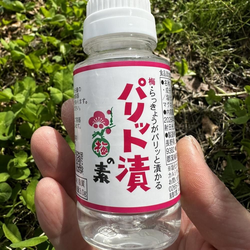 <img class='new_mark_img1' src='https://img.shop-pro.jp/img/new/icons61.gif' style='border:none;display:inline;margin:0px;padding:0px;width:auto;' />ѥåҤ