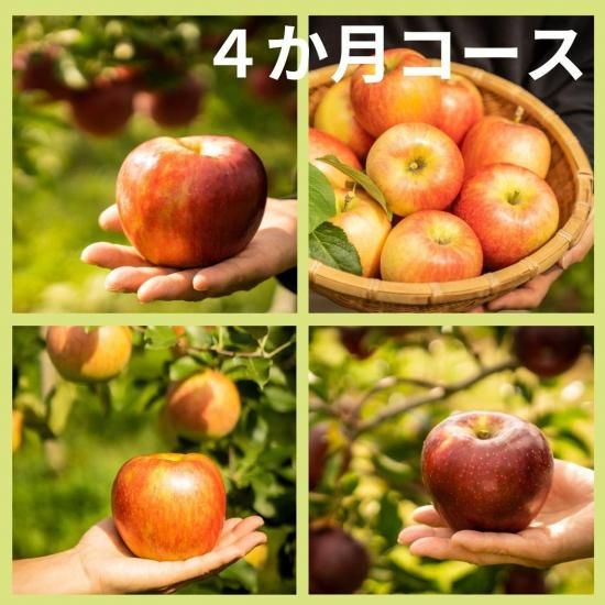 信州・駒ヶ根 りんごのきのした農園 Kinoshita Ringo Farm