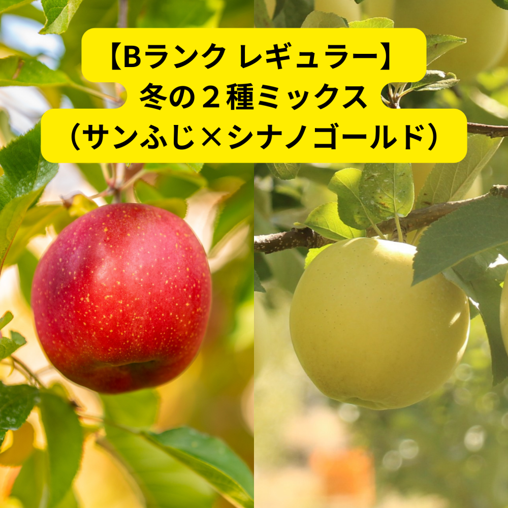 <img class='new_mark_img1' src='https://img.shop-pro.jp/img/new/icons29.gif' style='border:none;display:inline;margin:0px;padding:0px;width:auto;' />�ڣ¥�� �쥮��顼�� �ߤΣ���ߥå����ʥ���դ��ߥ��ʥΥ�����ɡˡʡ�2,550����9,500��