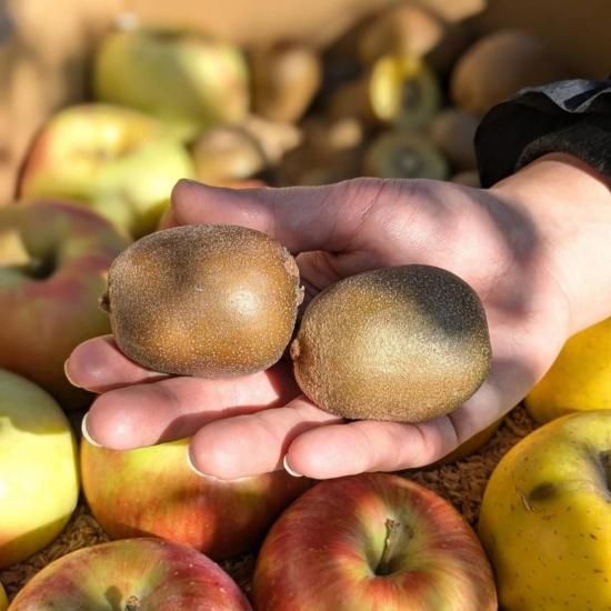 <img class='new_mark_img1' src='https://img.shop-pro.jp/img/new/icons5.gif' style='border:none;display:inline;margin:0px;padding:0px;width:auto;' />ߡ 󤴤ȥΥå