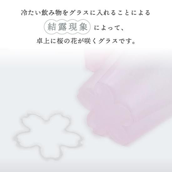 ゆきたんです！【極美品✨】SACRA サクラ キュプラ混 バンドカラー 雪桜タンブラー | 日本製ガラス製酒器 - 心ときめく生活雑貨