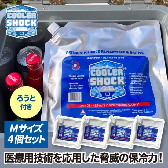 保冷剤 長時間 保冷パック cooler shock set M 4個セット クーラー