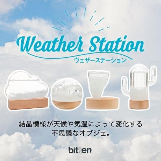 ストームグラス クラウド STORM CLOUD | おしゃれな天候予報グラス