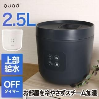 ü   ü STEAMS ॹ QUADS 2.5L  夫 ༰ü ޥͥåȥץ饰 㥤ɥå  뤪