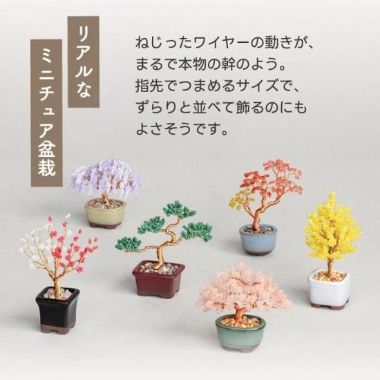 ビーズキット|初心者向け盆栽 - 心ときめく生活雑貨『mecuーメクー』