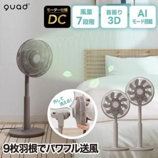 3D 졼  DC⡼ Ų ⥳դ 岼󿶤  æ ä  ʥ Ǯк QUADS ӥ󥰥ե ֤ Ĵ 7ʳ 