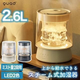 <img class='new_mark_img1' src='https://img.shop-pro.jp/img/new/icons5.gif' style='border:none;display:inline;margin:0px;padding:0px;width:auto;' />ü 弰  2.6L 饹  QUADS Ʃ μ17б Ų ü Ǯ ǽդ LED饤 㥤ɥåդ 夫 뤪 к