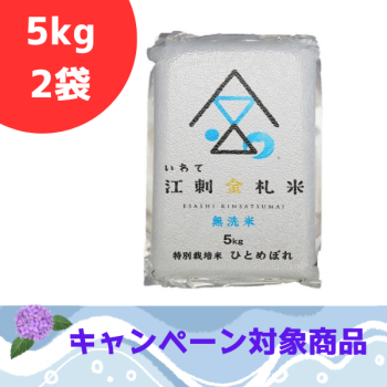 ☆江刺金札米ひとめぼれ・無洗パック米（5kg）×2袋セット