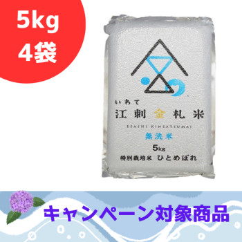 ☆江刺金札米ひとめぼれ・無洗パック米（5kg）×4袋セット