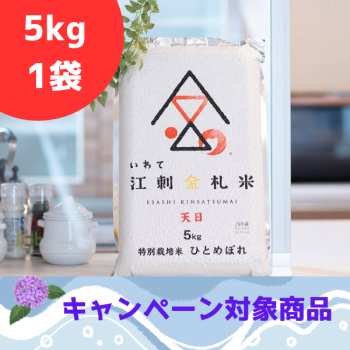 ☆江刺金札米ひとめぼれ・『天日干し』パック米（5kg）×1袋