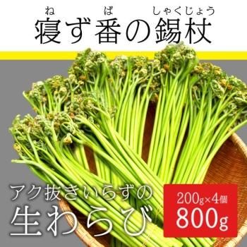 野菜 - SUN market Esashi（サンマーケット江刺）