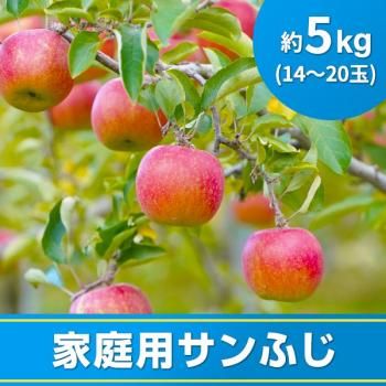 []դ5kg1420̡12ܡܺ˽缡ȯ