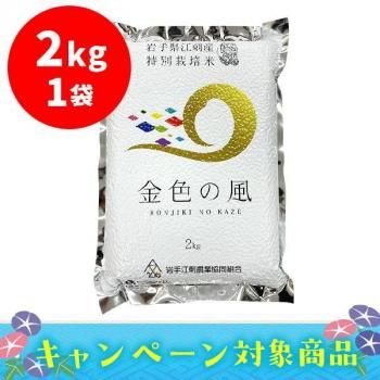 ɻ ⿧ѥå2kg