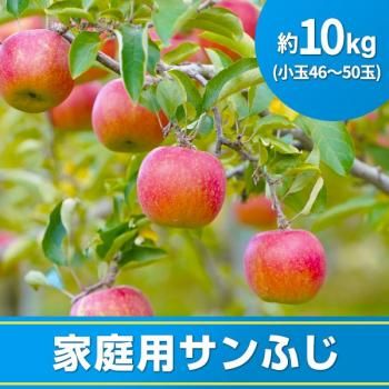[]դ10kg (4650̡12ܡܺ˽缡ȯ