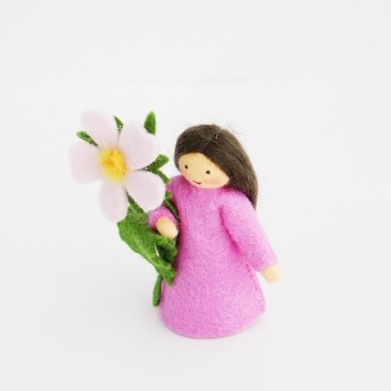 Ambrosius fairy 4点セット Ambrosius fairy 4点セット Ambrosius fairy 4点セット