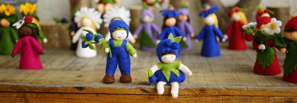 ブルーベリーBaby Ambrosius fairy/アンブロシウスフェアリーの夏の