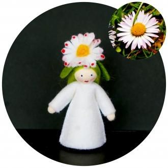 ǥ ۥ磻 Ambrosius Dolls/֥ ɡ դ