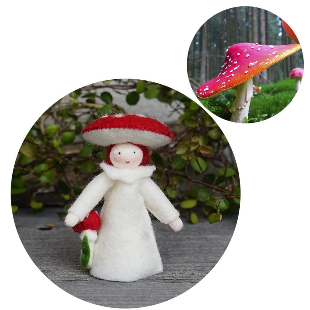 k様 アンブロシウスフェアリー