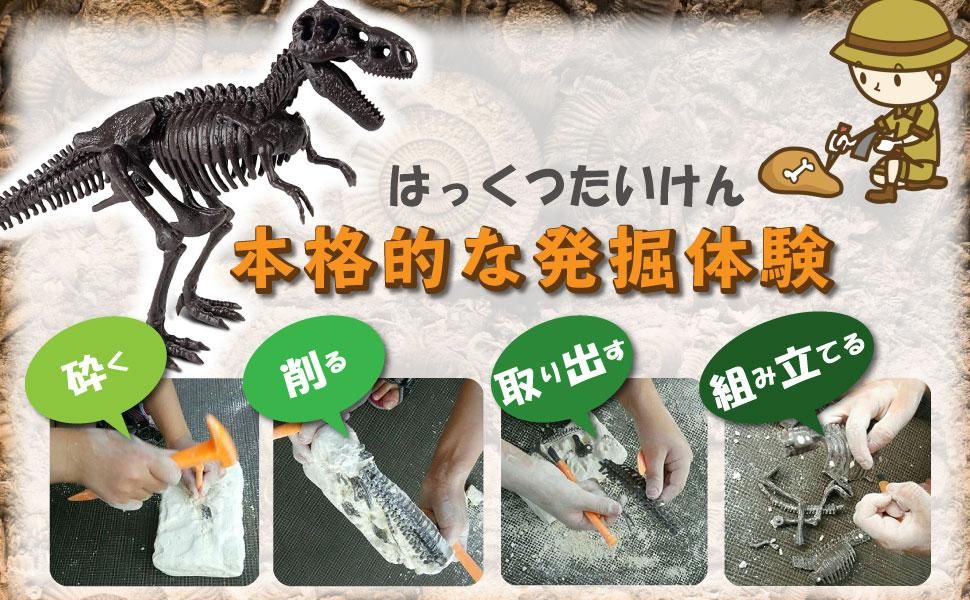 恐竜発掘キット トリケラトプス GEOWORLD/ジオワールド社 化石を 恐竜発掘キット トリケラトプス GEOWORLD/ジオワールド社 化石を