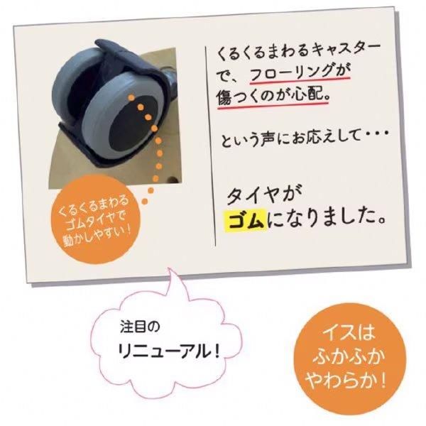 Skipper スキッパー ] ライドアンドロール レディーバード 名入れセット てんとう虫 室内 常用玩具 木製