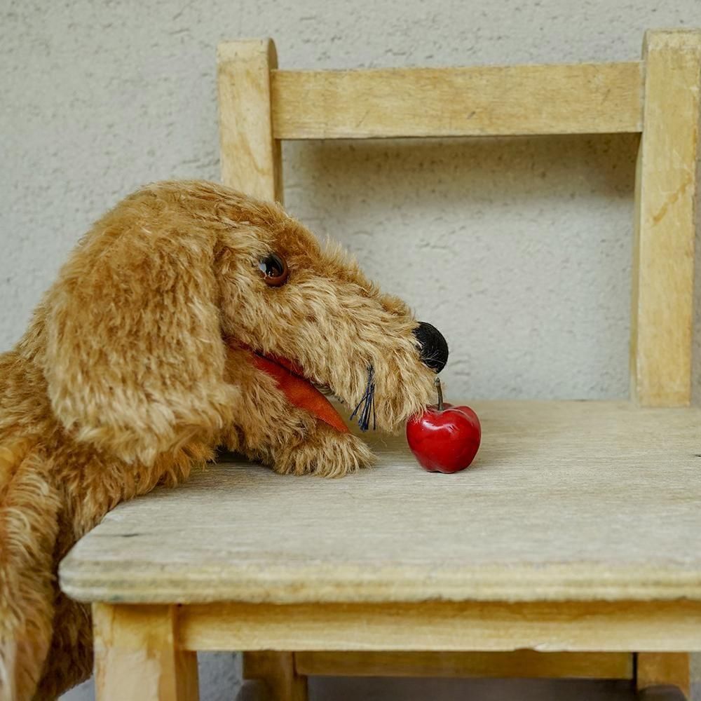 1920年代　ドイツ製　木彫り　パペット 水曜の木彫り教室 | わきたけいこの木彫の世界 -木彫人形教室と通信