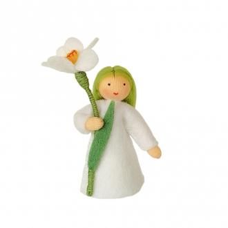     Ambrosius Dolls/֥ ե꡼ դ