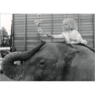 եľ͢ݥȥ <br />The girl and the elephant
