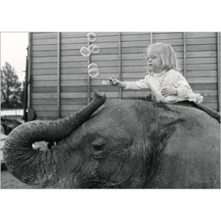 եľ͢ݥȥ <br />The girl and the elephant