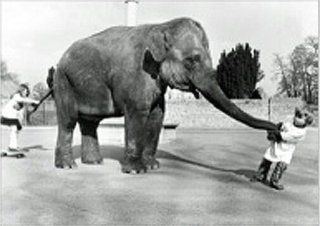 եݥȥ<br />Child with elephant<br />