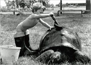 եݥȥ<br />Child and Turtle<br />
