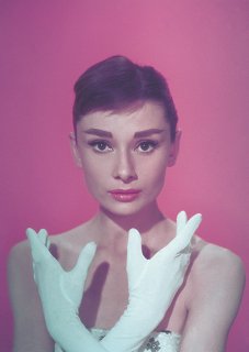 ݥȥ<br>Audrey Hepburn(fuchsia)<br>